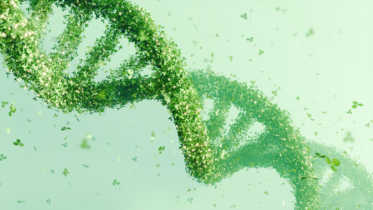 Stock image to promote TAFNEX CF-PP for sustainable applications 